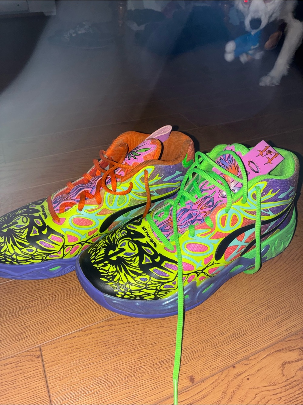 Puma Neon Multicolor High-Top Sneakers - Green, Orange, Purple, Pink, Black